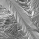 Illustration for article titled Explorers discover a lost civilization frozen in tiny sodium crystals